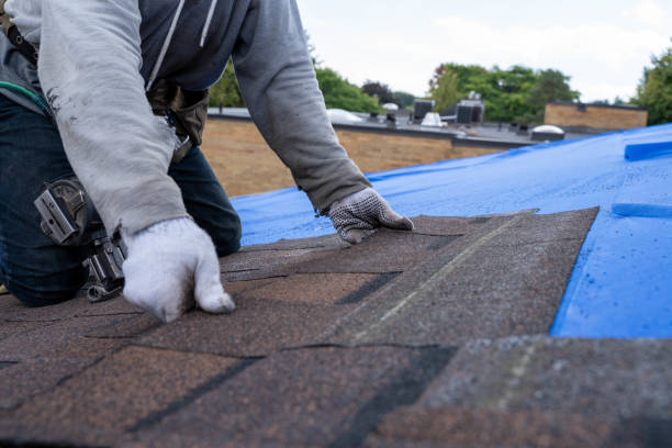 Quick and Trustworthy Emergency Roof Repair Services in Clarksville, TN