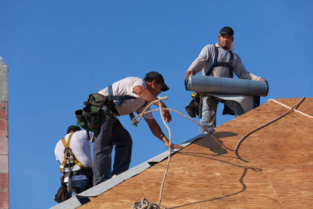 Sealant for Roof in Clarksville, TN